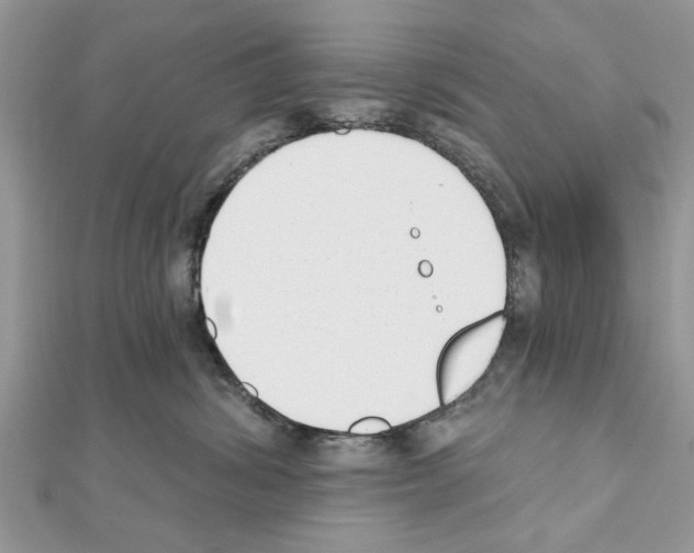 X0000111620428200908281117