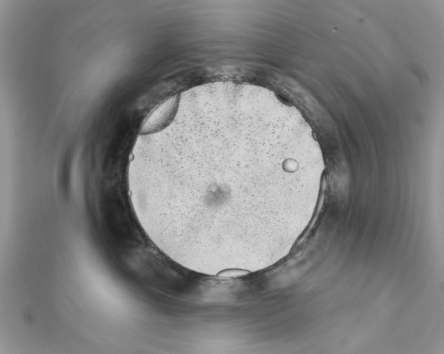 X0000111620429200908281117