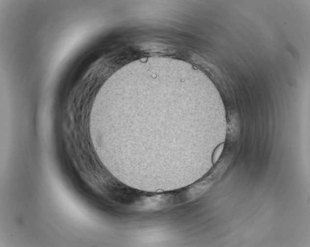 X0000111620430200908281117