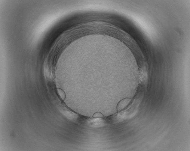 X0000111620431200908281117