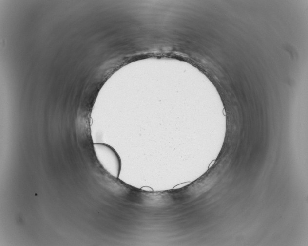 X0000111620432200908281117