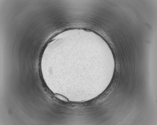 X0000111620434200908281116