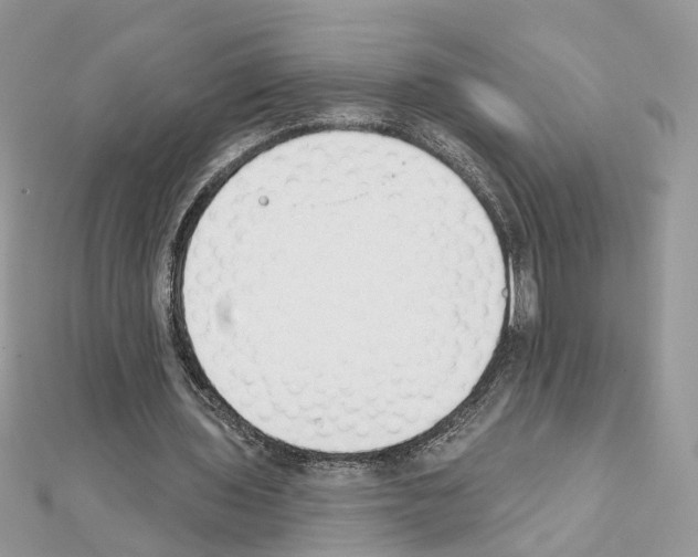 X0000111620435200908281116