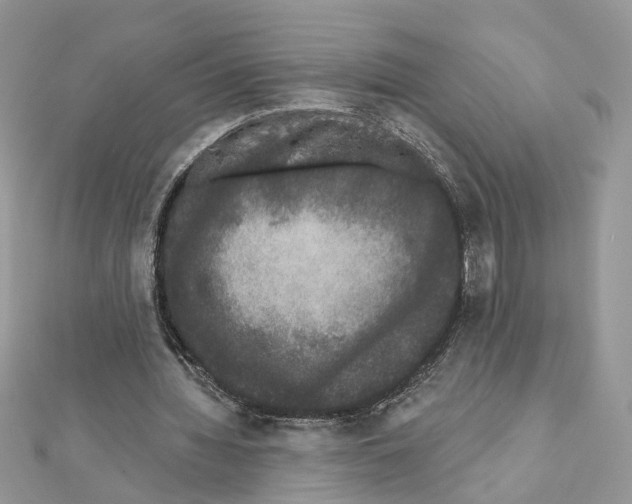 X0000111620436200908281116