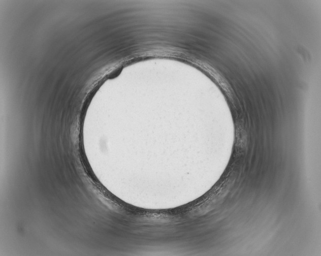 X0000111620437200908281116