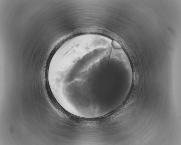 X0000111620438200908281116