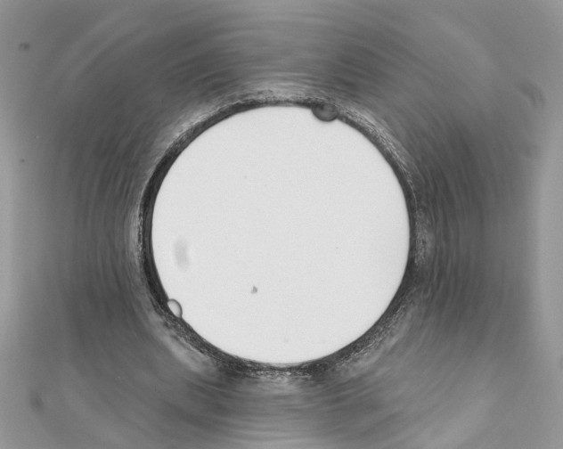 X0000111620439200908281116