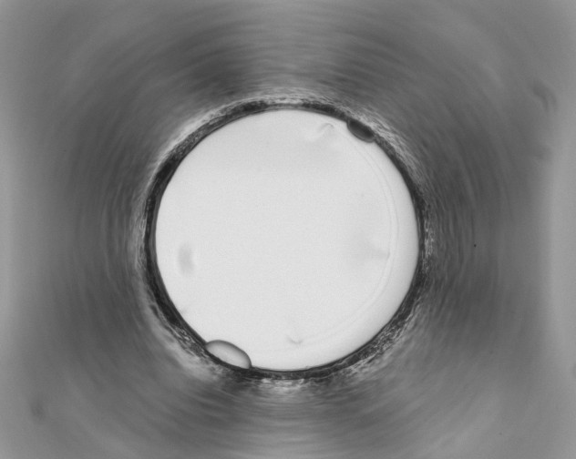 X0000111620440200908281116