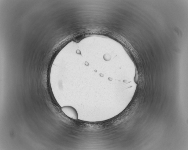 X0000111620442200908281116