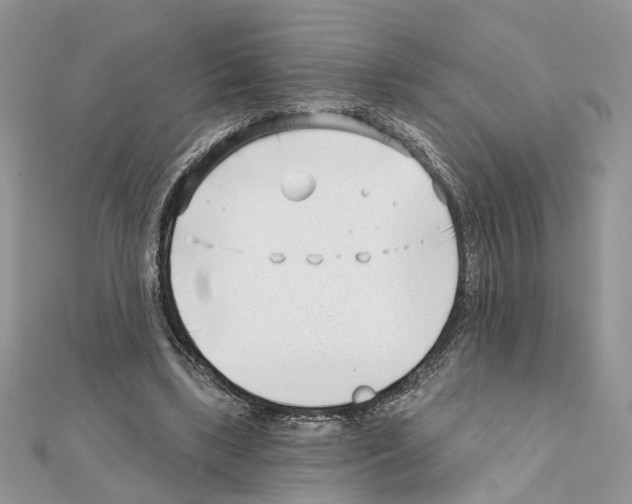 X0000111620443200908281116