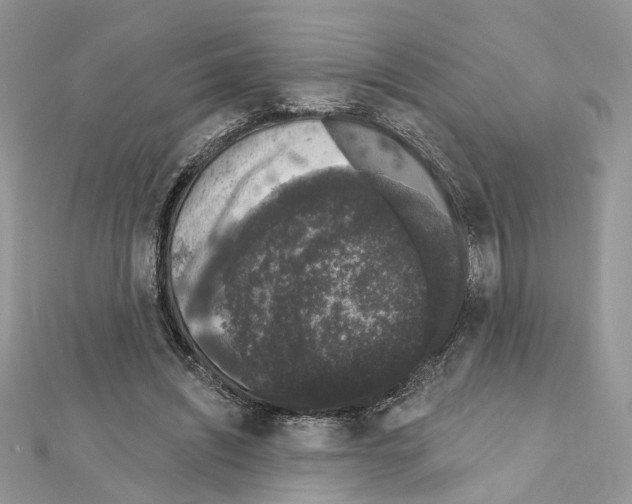 X0000111620444200908281116