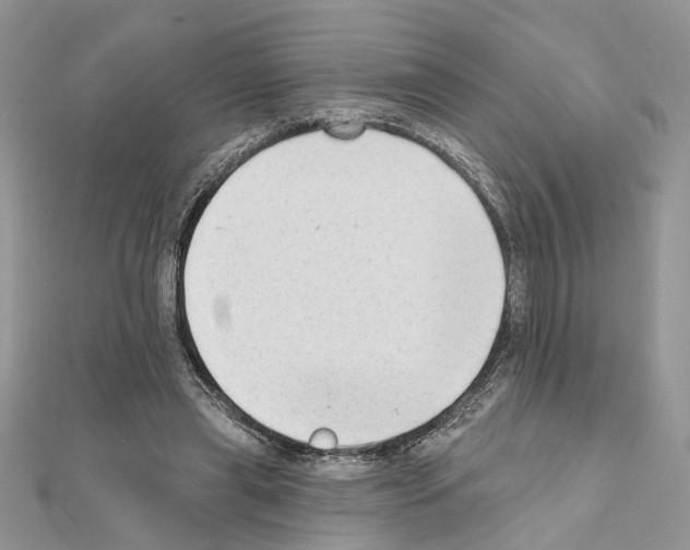 X0000111620445200908281116