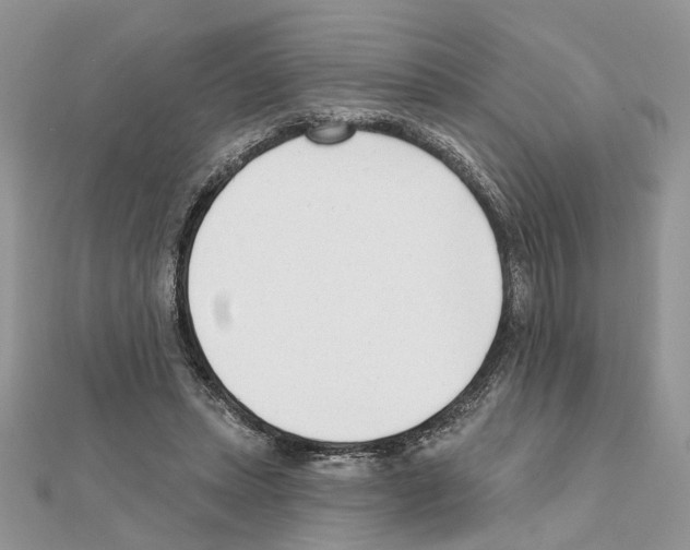 X0000111620447200908281116