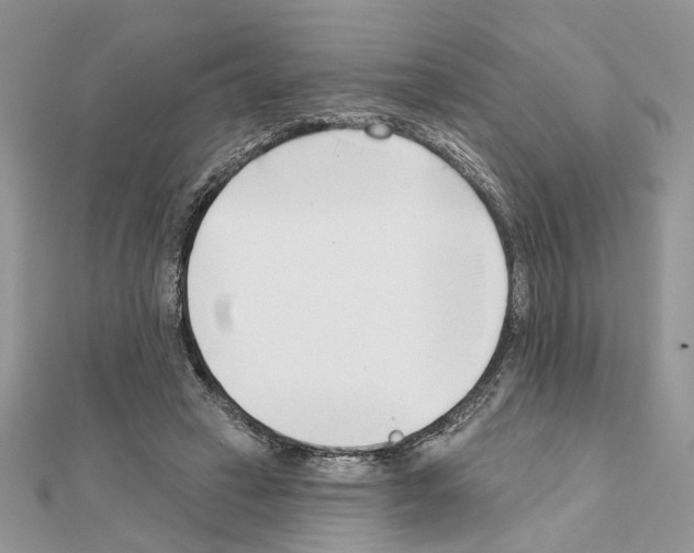 X0000111620449200908281116