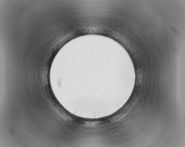 X0000111620450200908281116