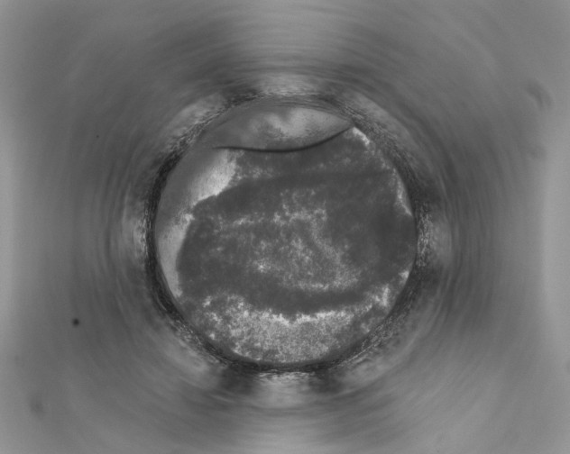 X0000111620452200908281116