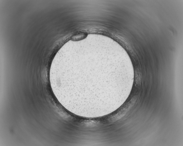 X0000111620453200908281116