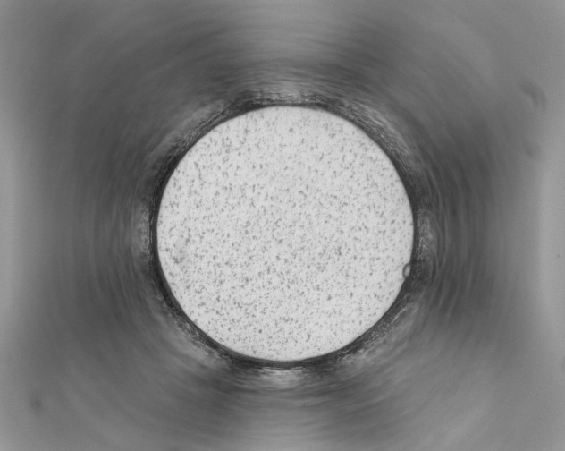 X0000111620457200908281116