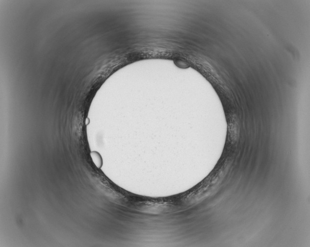 X0000111620458200908281116