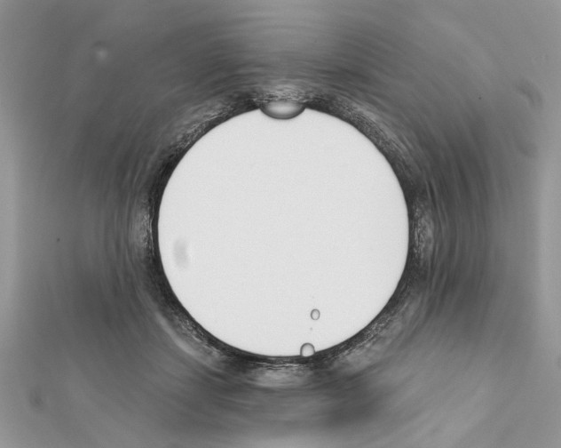 X0000111620459200908281116