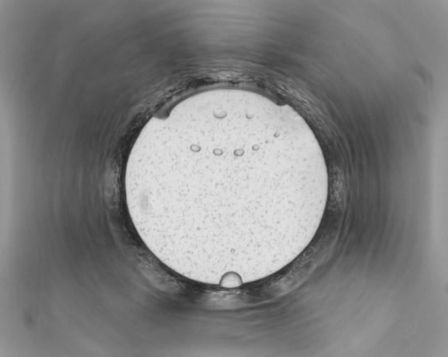 X0000111620461200908281116