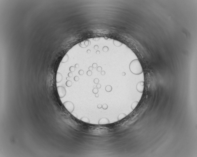 X0000111620463200908281116