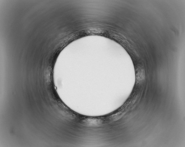 X0000111620464200908281116