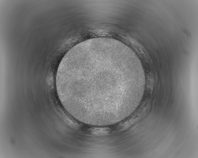 X0000111620465200908281117