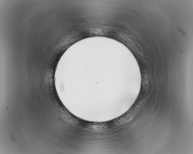 X0000111620466200908281117