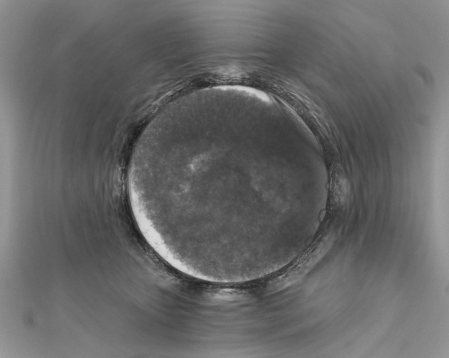 X0000111620467200908281117