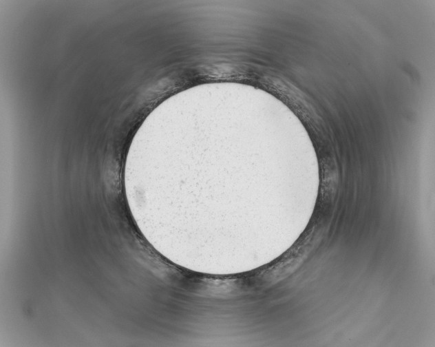 X0000111620469200908281117