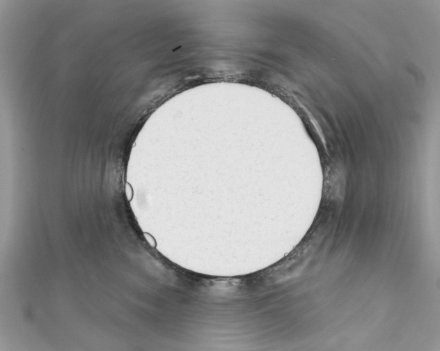 X0000111620474200908281117