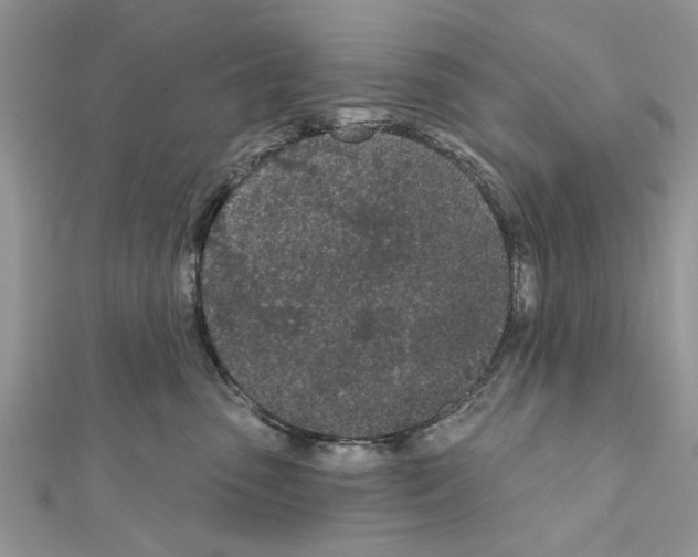 X0000111620475200908281117