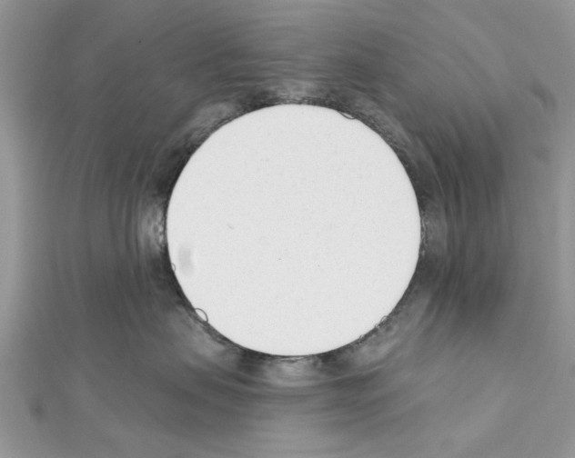 X0000111620479200908281117