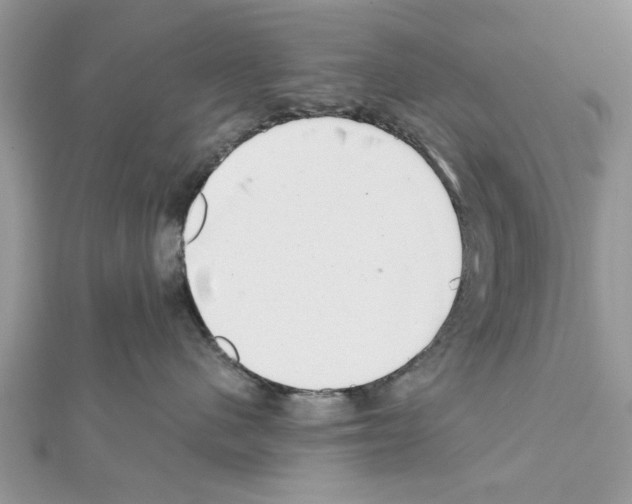 X0000111620480200908281117