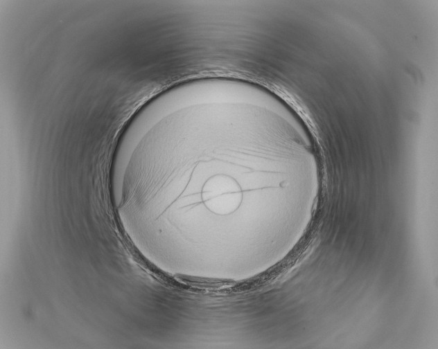 X0000111620481200908281116