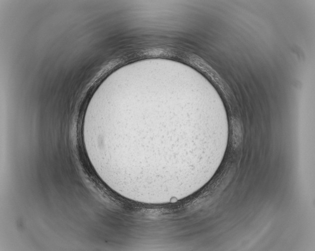 X0000111620482200908281116