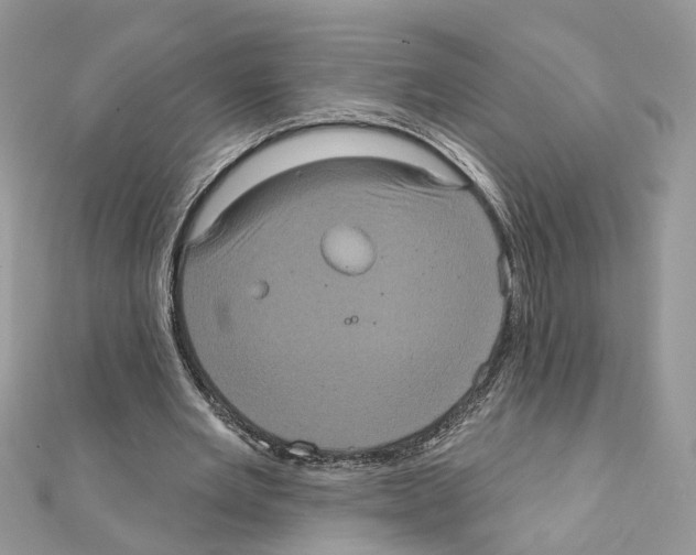 X0000111620485200908281116