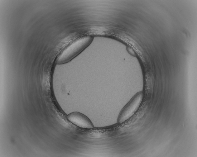 X0000111620489200908281116