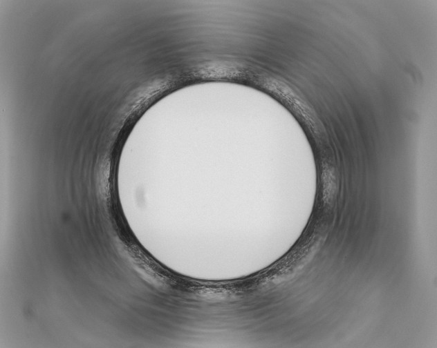 X0000111620490200908281116