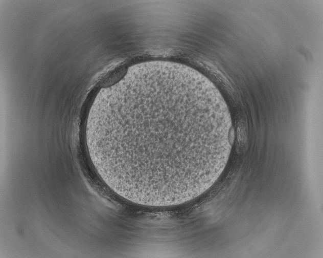 X0000111620492200908281116