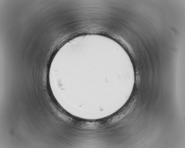 X0000111620493200908281116