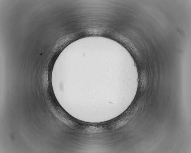 X0000111620494200908281116