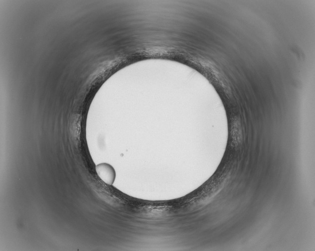 X0000111620495200908281116