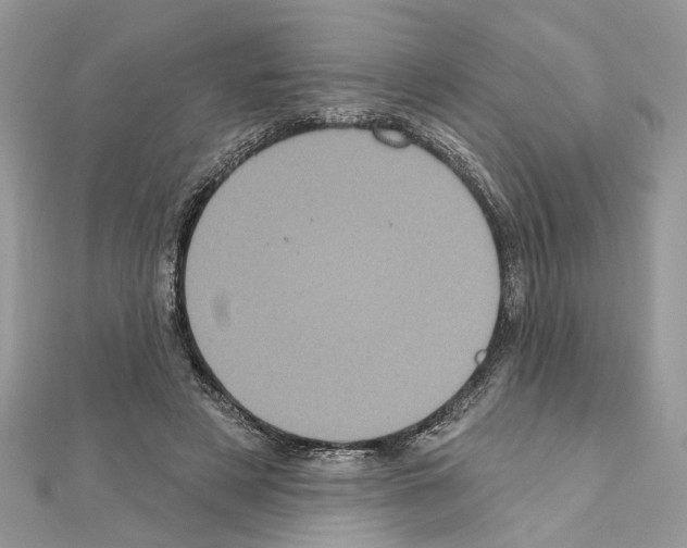 X0000111620497200908281116