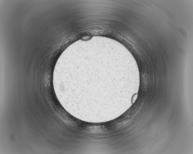 X0000111620499200908281116