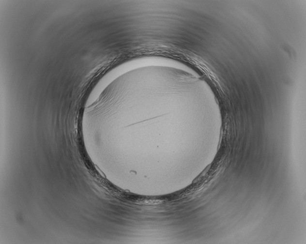 X0000111620501200908281116