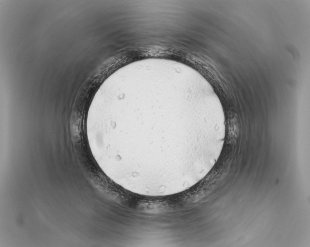 X0000111620503200908281116