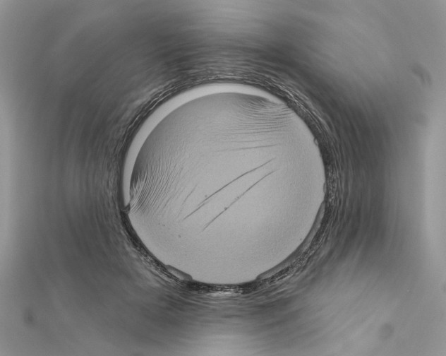 X0000111620505200908281116