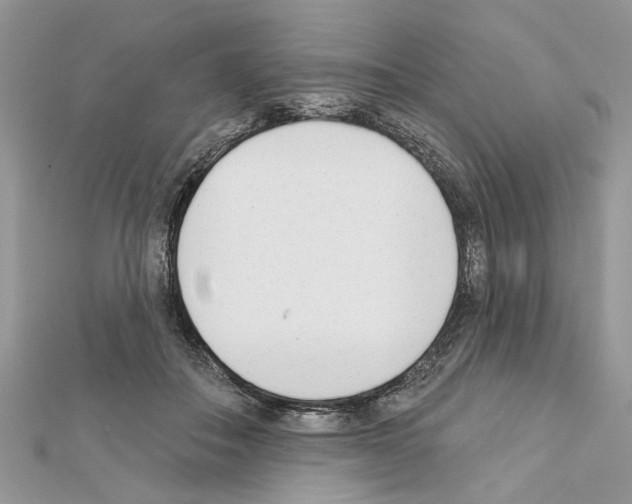 X0000111620506200908281116